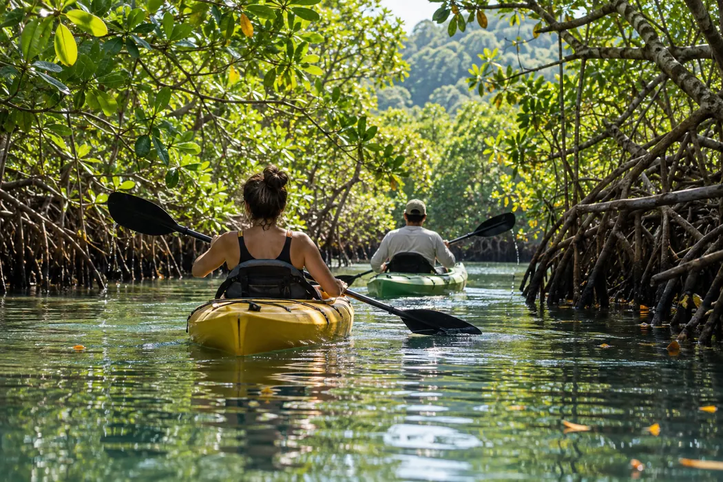Illustrative kayaking scene in a tropical mangrove